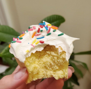 Sweet Lemon  | 52 Calorie Light Cakes {2 cakes per pack}