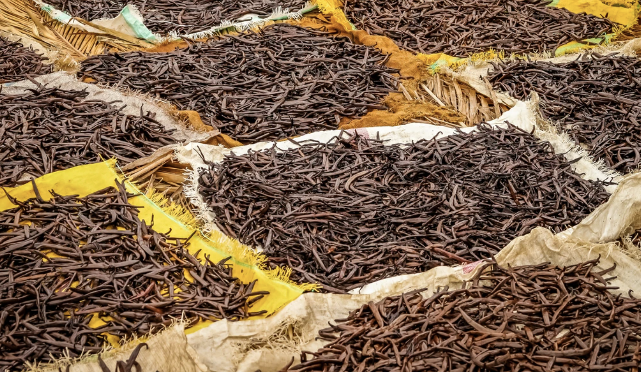 O.M.G.| ooey marshmallow goodness | 7 Protein Bars