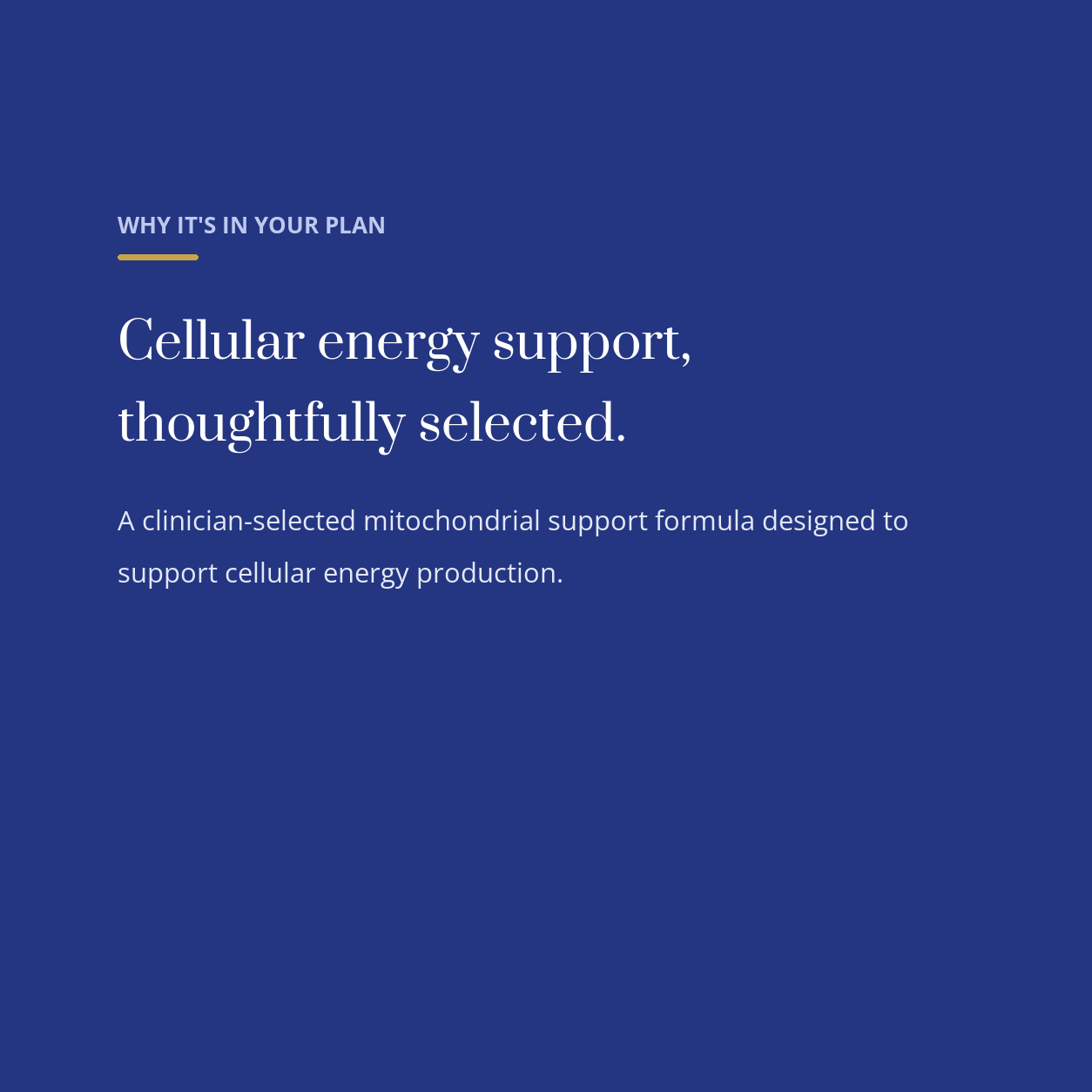 diata-supplement-pdp-v2:cellular-energy-support:3b64cd8bff6e:why | Why Cellular Energy Support is in your plan