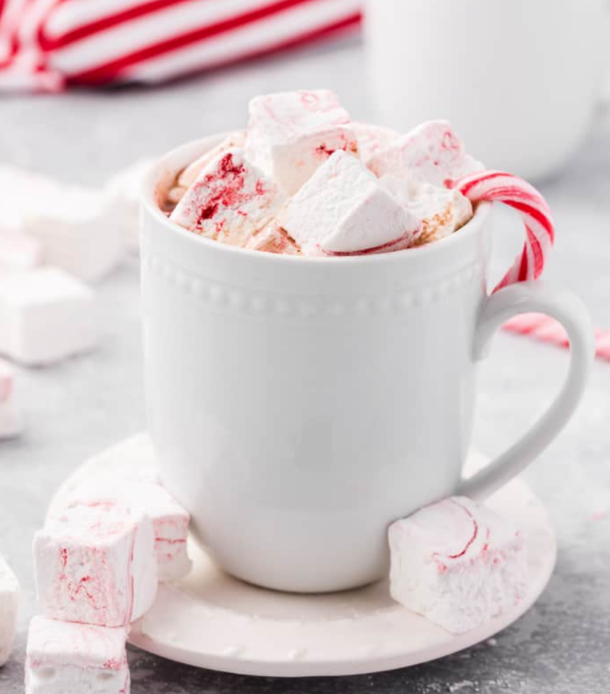 Seasonal: Peppermint | {Protein} Hot Chocolate